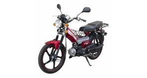 Мопед Spark SP110C-1WQ