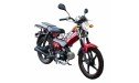 Мопед Spark SP110C-1WQ