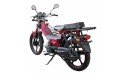Мопед Spark SP110C-1WQ