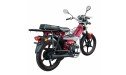 Мопед Spark SP110C-1WQ