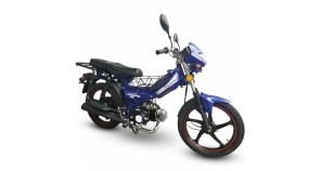 Мопед Spark SP110C-1WQN