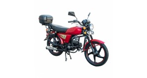 Мопед Spark SP110C-2C