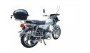 VENTUS ALPHA EXCLUSIVE
